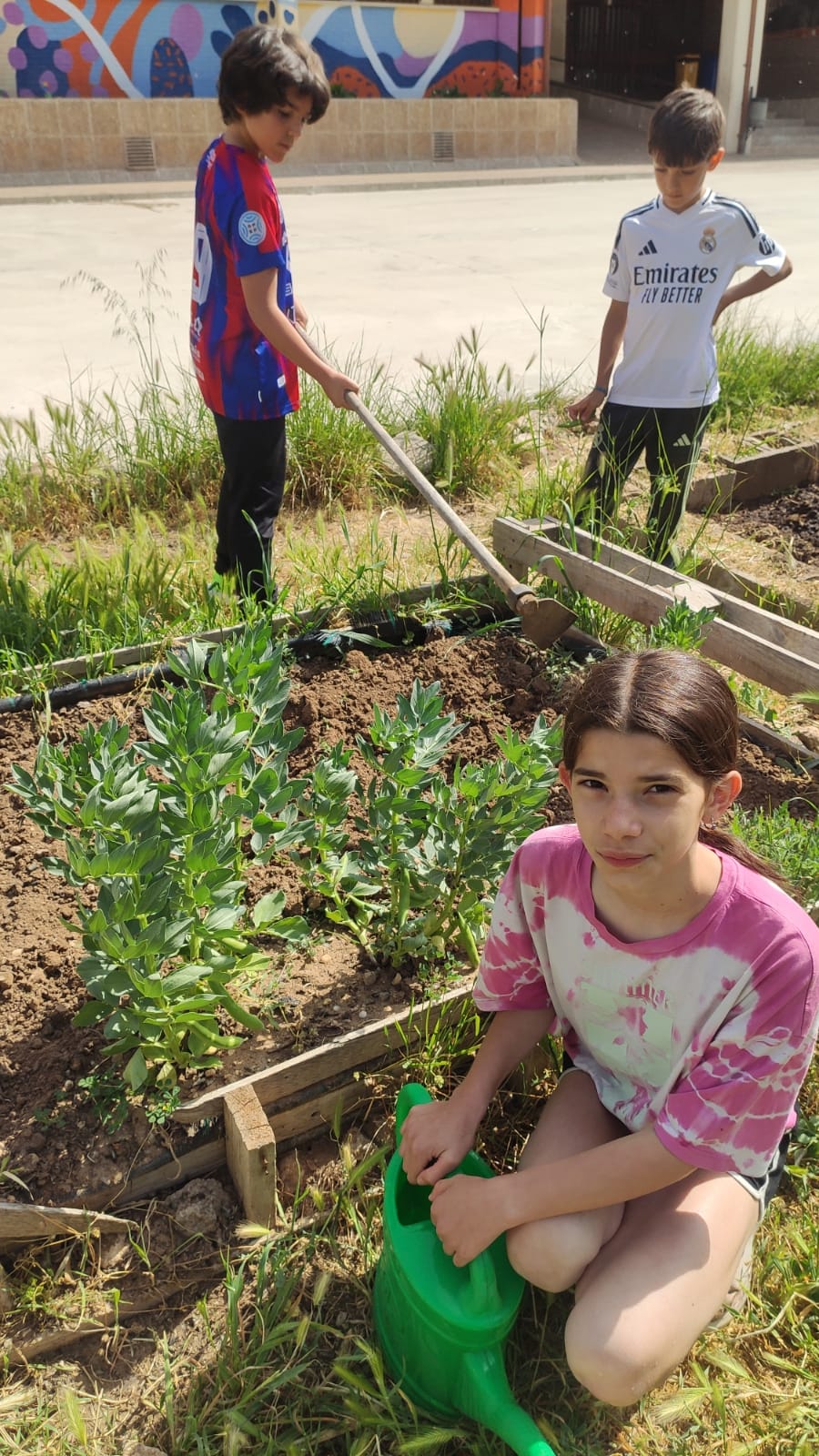 Empezamos a plantar (primaria)