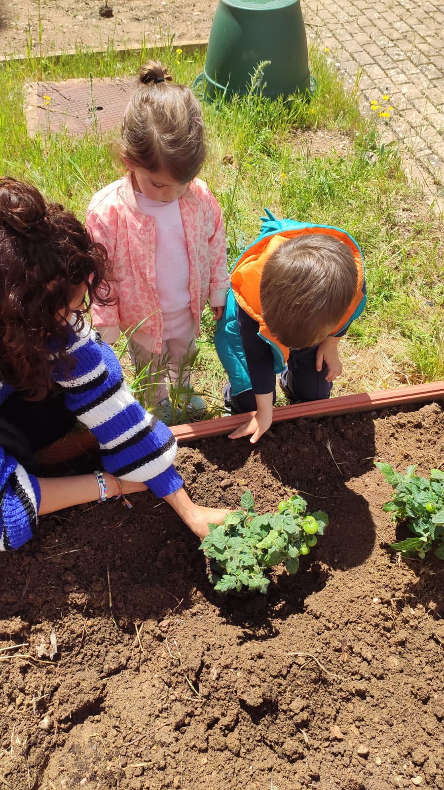 Empezamos a plantar (infantil)